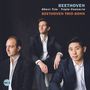 Ludwig van Beethoven: Tripelkonzert op.56 für Klaviertrio (Arrangiert von Friedrich Eduard Wilsing), CD
