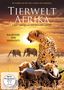 : Tierwelt Afrika - Raubtiere der Serengeti, DVD,DVD