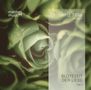 Dr. Heinz Tölle: Blütezeit der Liebe (Teil 2) - Gedichte von Heinz Tölle (gelesen von Sabine Murza mit der Klaviermusik von Pianist: Ronny Matthes), CD