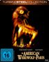 Anthony Waller: An American Werewolf in Paris (Blu-ray im FuturePak), BR
