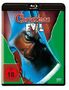 Lewis Jackson: Christmas Evil (Blu-ray), BR