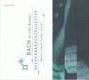 Texte: "BACH to the Roots!", "BREMERBAROCKORCHESTER", "Néstor Fabián Cortés Garzón". Rechts Notenblätter, gemalter Stil.