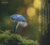 : Mime Yamahiro Brinkmann & Mariangiola Martello - Boccherini's Dream, CD