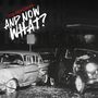 The Peacocks: And Now What?, CD, CD