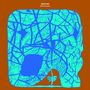 Nick Dunston: Skultura, LP, LP