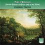 Musik im Bachhaus Vol.12 - Johann Sebastian Bach und seine Söhne, CD