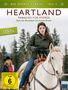 Dean Bennett: Heartland - Paradies für Pferde Staffel 10 Box 2, DVD,DVD,DVD