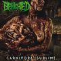 Benighted: Carnivore Sublime (180g) (Limited Numbered Edition) (Red/Black Splatter), LP