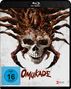 Text: "OMUKADE", "FSK 18 beantragt", "Vorab-Cover". 

Das Cover zeigt einen Totenkopf kombiniert mit einem monströsen, spinnenartigen Wesen., Blu-ray Disc