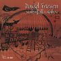 David Friesen: Waterfall Rainbow, CD