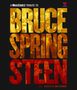 : Musicares Person Of The Year: A Tribute To Bruce Springsteen Live 2013, BR