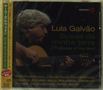 Lula Galvao: Bossa Of My Land (Bossa De Minha...), CD
