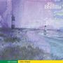 Oben rechts steht "Fila Brazillia". Unten links: "old codes", "new chaos". Wasserfarbenillustration mit Leuchttürmen., CD