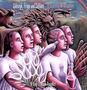 Jakko Jakszyk, Robert Fripp & Mel Collins: A Scarcity Of Miracles - King Crimson Projekct (200g), LP