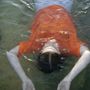 Eine Person in einem orangefarbenen Hemd treibt mit ausgestreckten Armen auf dem Rücken im Wasser., CD