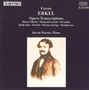 Ferenc Erkel (1810-1893): Klavierwerke Vol.2, CD