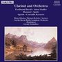 Dieter Klöcker spielt Werke für Klarinette & Orchester, CD