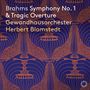 Johannes Brahms (1833-1897): Symphonie Nr.1, CD