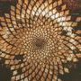 Scale The Summit: The Collective +1, CD
