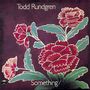 Todd Rundgren: Something / Anything? (Papersleeve), CD
