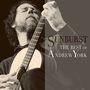 Andrew York: Sunburst: The Best Of Andrew York (2 SHM-CD), 2 CDs, 2 CDs