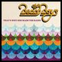 The Beach Boys: That's Why God Made The Radio, CD