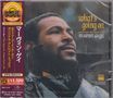 Marvin Gaye: What's Going On (Original Detroit Mix), CD, CD