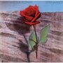 "Death and the Flower", "Keith Jarrett". Eine rote Rose auf einer steinigen Oberfläche., CD