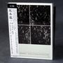 Ryuichi Sakamoto: The Best Of Playing The Orchestra 2014, 2 CDs, 2 CDs