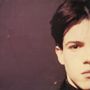 Felt (England): Forever Breathes The Lonely Word (remastered) (Limited-Edition), LP