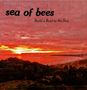 Sea Of Bees: Build A Boat To The Sun, LP