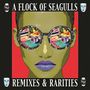 A Flock Of Seagulls: Remixes & Rarities (Deluxe-Edition), 2 CDs