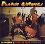 The Flamin' Groovies: Flamingo/Teenage Head (Remastered & Expanded), CD