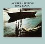 Tony Banks: A Curious Feeling (180g), LP