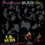 UK Subs: Crash Course (180g) (Deluxe-Edition) (Red Vinyl), LP