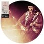 Jah Wobble: Access All Areas (Picture Disc), LP