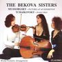 Peter Iljitsch Tschaikowsky (1840-1893): Klaviertrio op.50, CD