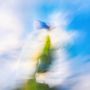 Unscharfe Formen in Blau, Weiß und Grün, die dynamische Bewegung und Leichtigkeit vermitteln., LP