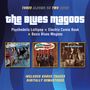 Blues Magoos: Psychedelic Lollipop / Electric Comic Book / Basic Blues Magoos, 2 CDs