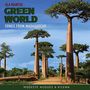 Modeste Hugues & Kilema: Ala Maintso / Green World: Songs From Madagascar, CD