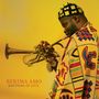 Text: "BERIMA AMO RHYTHMS OF LOVE". Ein Mann in gemusterter Kleidung spielt Trompete, gelber Hintergrund., CD