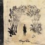 Sigur Rós: Takk (20th Anniversary Edition) (remastered), LP,LP,LP