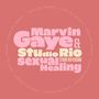 „Studio Rio Presents“ umrahmt „Marvin Gaye & Studio Rio Sexual Healing, Studio Rio Version.“ in stilisierter Schrift., Single 7"