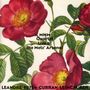 Joelle Leandre, Fred Frith, Alvin Curran & Urs Leimgruber: MMM Quartet: Live At The Metz Arsenal 2009, CD