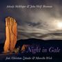 Arkady Schilkloper & John Wolf Brennan: Night In Gale, CD, CD