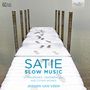 Erik Satie: Klavierwerke "Slow Music" (180g), 2 LPs