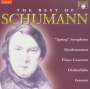 Schumann - Best of (Brilliant), 2 CDs