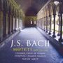 Johann Sebastian Bach: Motetten BWV 225-230, CD