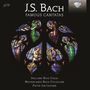 Johann Sebastian Bach: Kantaten BWV 4,12,22,38,42,45,51,54,57,67,73,80,98,131,140,143,147,170,199, CD,CD,CD,CD,CD