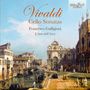 Antonio Vivaldi: Sonaten für Cello & Bc RV 40,41,43,45-47, CD